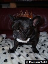 020120091525a 020120091525a