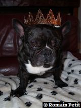 020120091525d 020120091525d