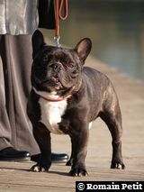 280220091626b 280220091626b