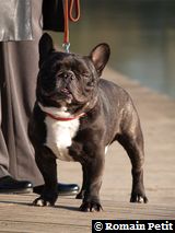 280220091626d 280220091626d