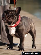 280220091626e 280220091626e