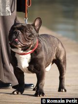 280220091626i 280220091626i