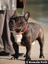 280220091626j 280220091626j