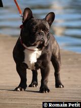 280220091626o 280220091626o