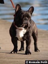 280220091626p 280220091626p