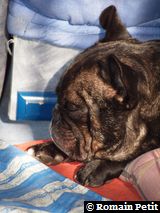 191020091126b 191020091126b