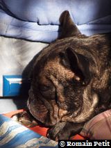 191020091127b 191020091127b