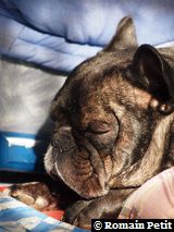 191020091129a 191020091129a