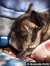 191020091129b 191020091129b