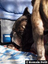 191020091129c 191020091129c