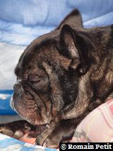 191020091131a 191020091131a