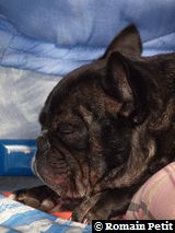 191020091131b 191020091131b