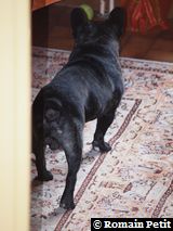 191020091139a 191020091139a