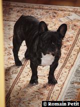 191020091139b 191020091139b