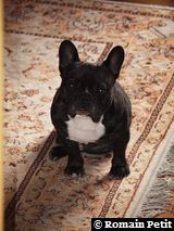 191020091139c 191020091139c