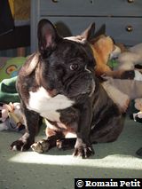 010320101009d 010320101009d