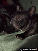 010320101048l 010320101048l