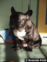 010320101054a 010320101054a