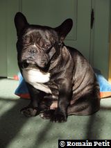 010320101054b 010320101054b