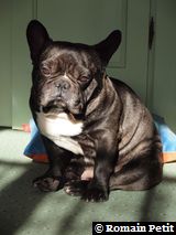 010320101054c 010320101054c