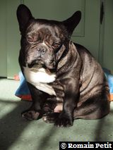 010320101054d 010320101054d