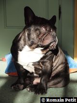 010320101054e 010320101054e