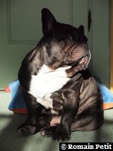 010320101054f 010320101054f