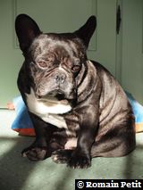 010320101054g 010320101054g