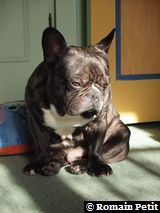 010320101055a 010320101055a