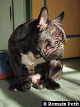 010320101055b 010320101055b