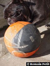 010320101229d 010320101229d