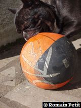 010320101229e 010320101229e