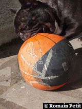 010320101229f 010320101229f