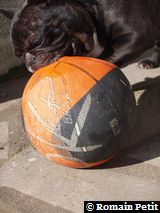 010320101229g 010320101229g