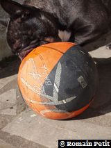 010320101229h 010320101229h