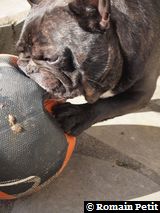 010320101229j 010320101229j