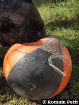 010320101229k 010320101229k