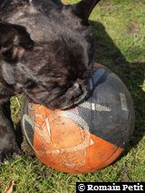 010320101234d 010320101234d