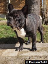 010320101244 010320101244