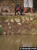 010320101451a 010320101451a