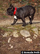 010320101451b 010320101451b