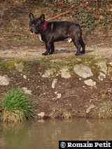 010320101452a 010320101452a