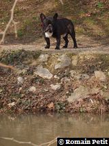 010320101452h 010320101452h