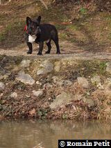 010320101452i 010320101452i