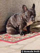 020320101127b 020320101127b