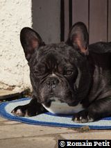 020320101134c 020320101134c