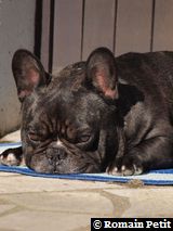 020320101134j 020320101134j