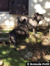 020320101136c 020320101136c