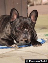 020320101144a 020320101144a