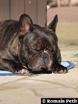 020320101144b 020320101144b